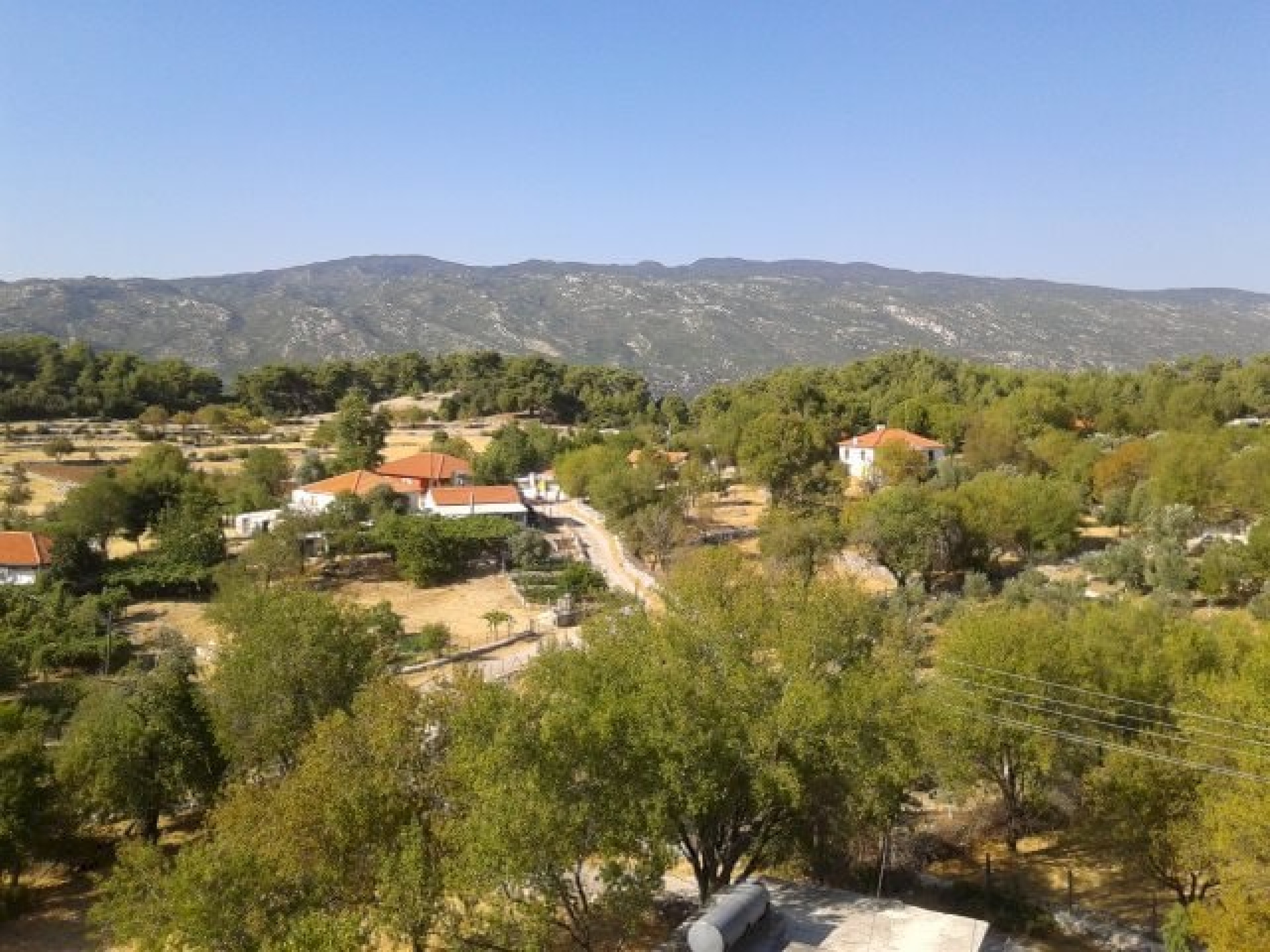 Hacı Oğlan