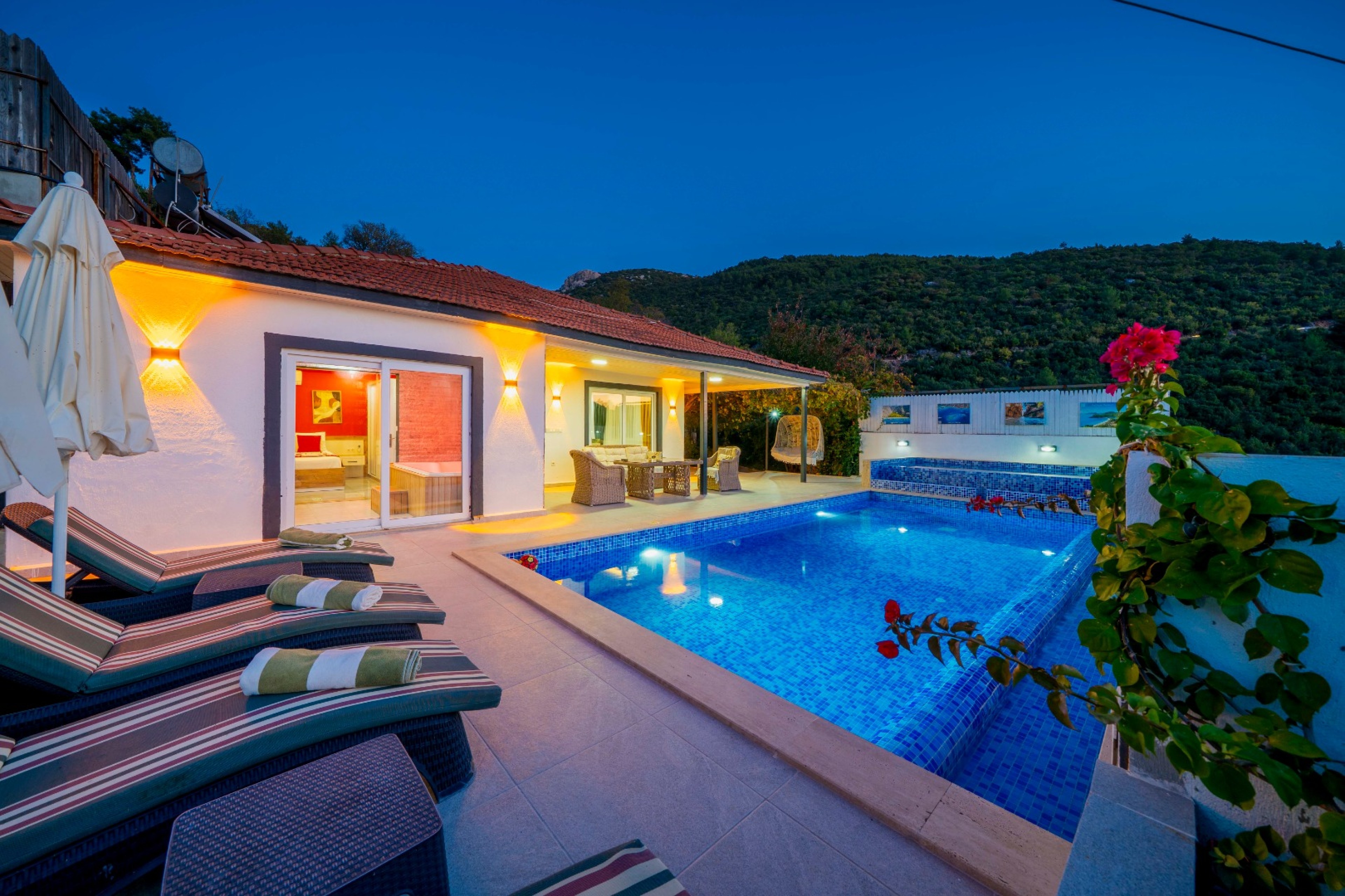 Villa görsel 3